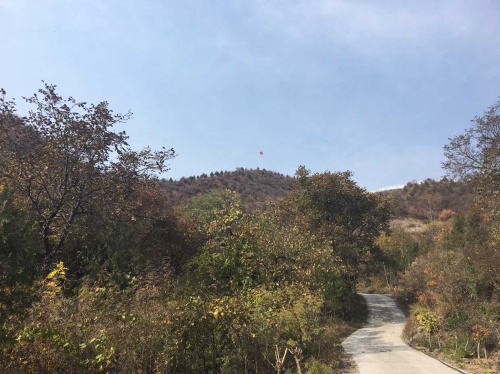 西达摩自然风景区旅行图片 2