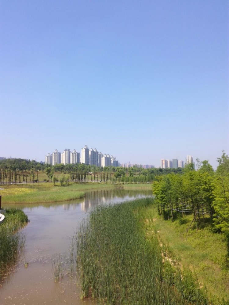 湖南松雅湖国家湿地公园景点图片