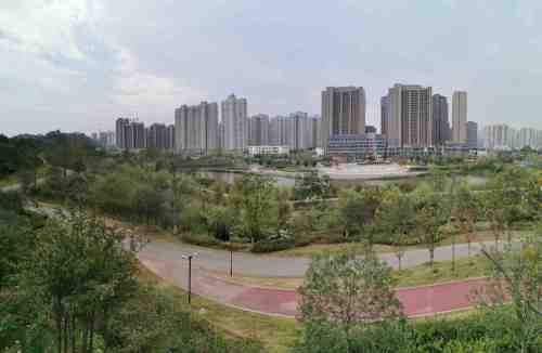 桂花公园旅行图片 3