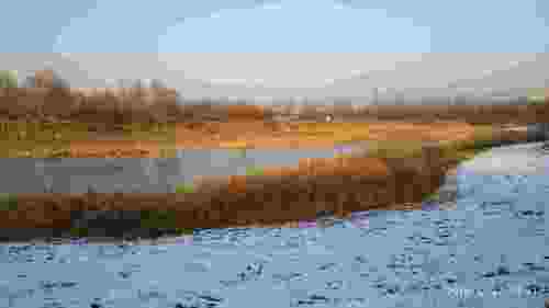 北湖湿地公园旅行图片 3