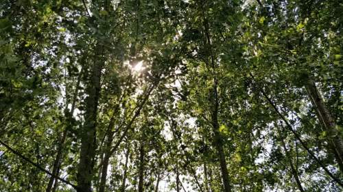 廖家沟生态观光公园旅行图片 1