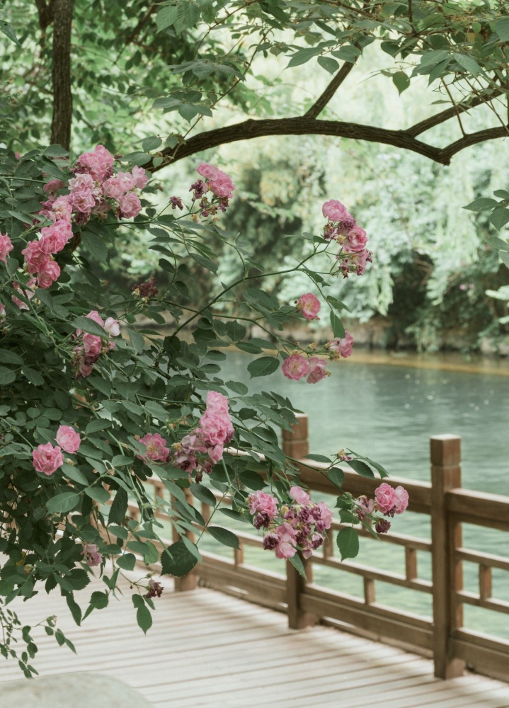 济南市环城公园景点图片