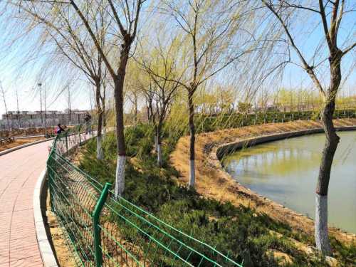 华夏庄园(酒庄)旅行图片 3