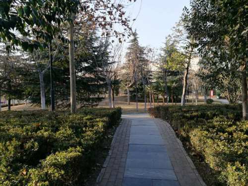 同乐公园旅行图片 3