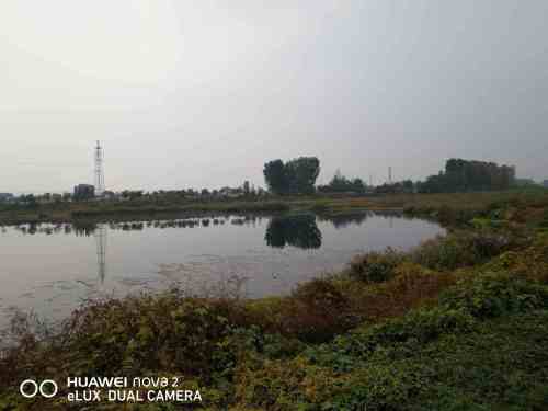 漷河湿地公园旅行图片 3