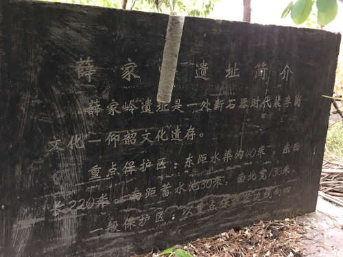 薛家岭遗址旅行图片 2