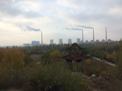 鱼儿湾公园旅行图片 1