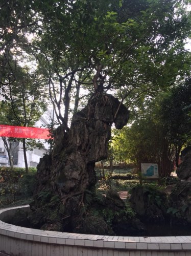 梅山公园旅行图片 2