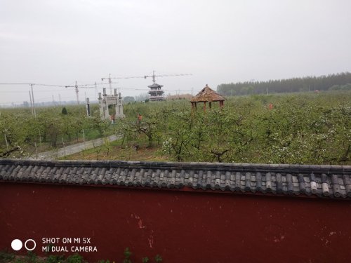 果都大观园旅行图片 2