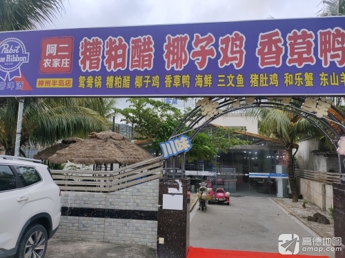 神州半岛-阿二农家庄海鲜糟粕醋·椰子鸡·香草鸭