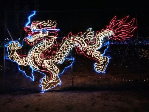滕州市锦天牡丹园旅行图片 3