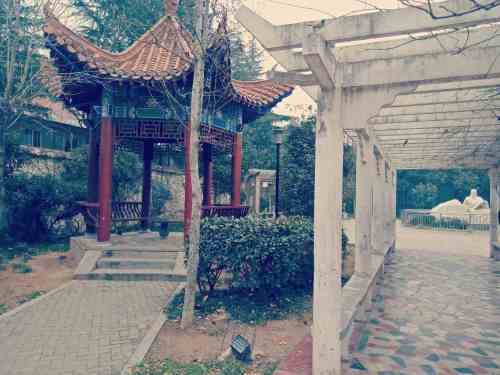 桂花大道游园旅行图片 1