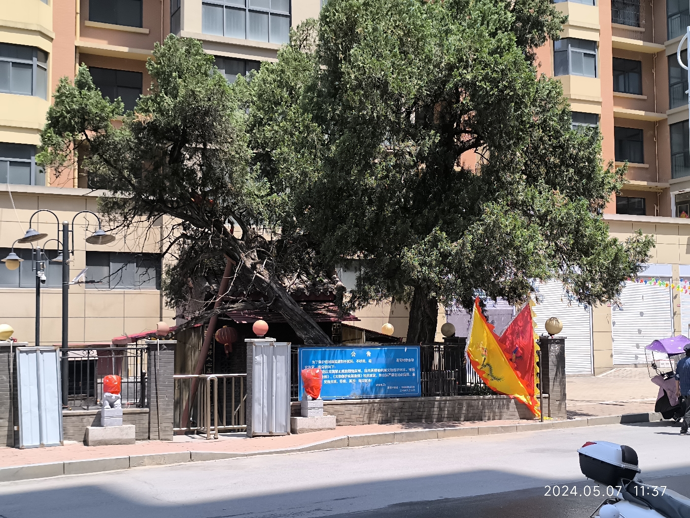柏树庙实景照片