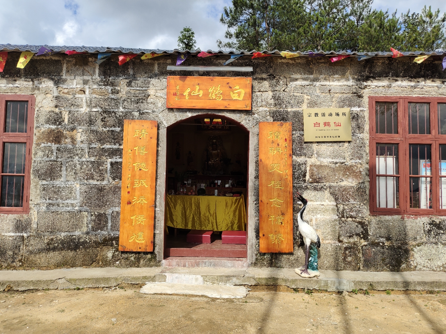 白鹤仙实景照片