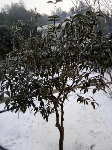 穿石山旅行图片 3