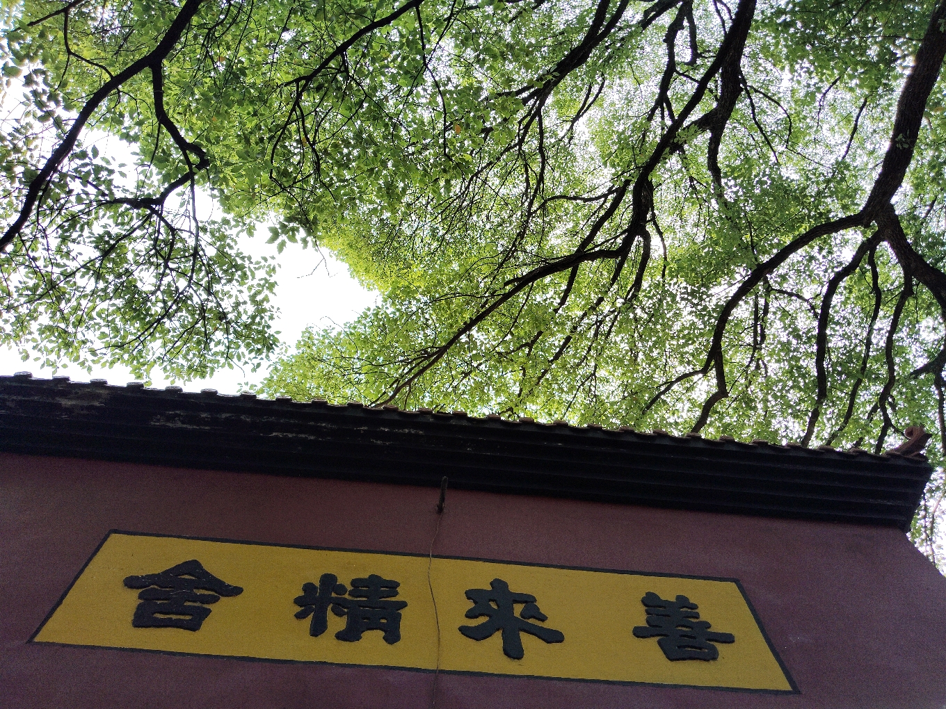 善来精舍大殿实景照片