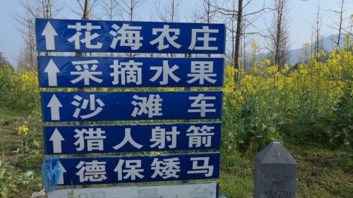 百亩花海旅行图片 3