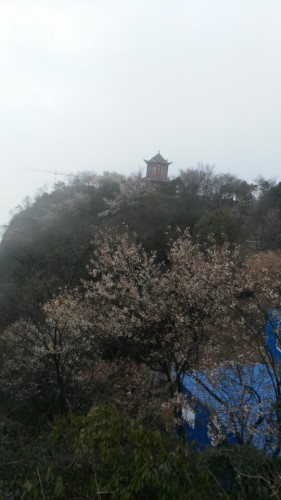 白岩天仙谷旅行图片 3