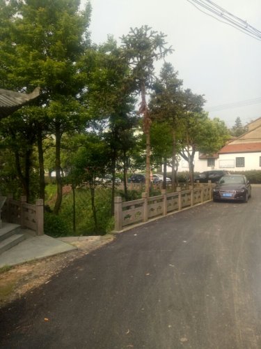 岗墩古道风景区旅行图片 3