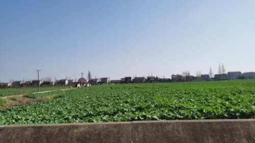 鸟儿洲国家湿地公园旅行图片 3