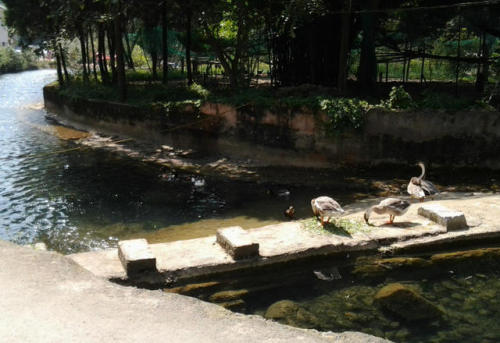 香纸沟龙泉景区旅行图片 3