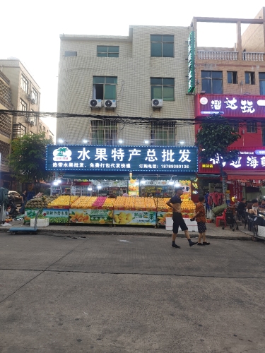 海南水果特产