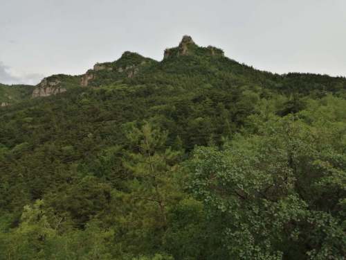 九峰山森林公园旅行图片 1