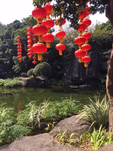 泥岗公园旅行图片 2