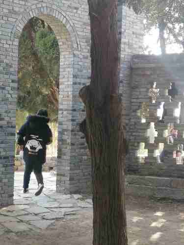 辉山荷花旅行图片 2