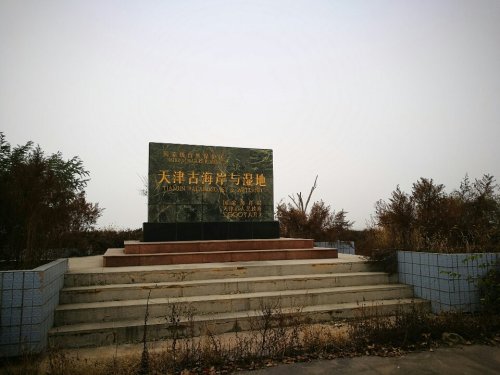七里海-东海鸟岛景区(不对外开放)旅行图片 1