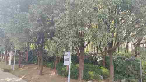 金华艾青文化公园旅行图片 2