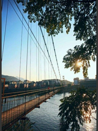 凤凰岛旅行图片 1