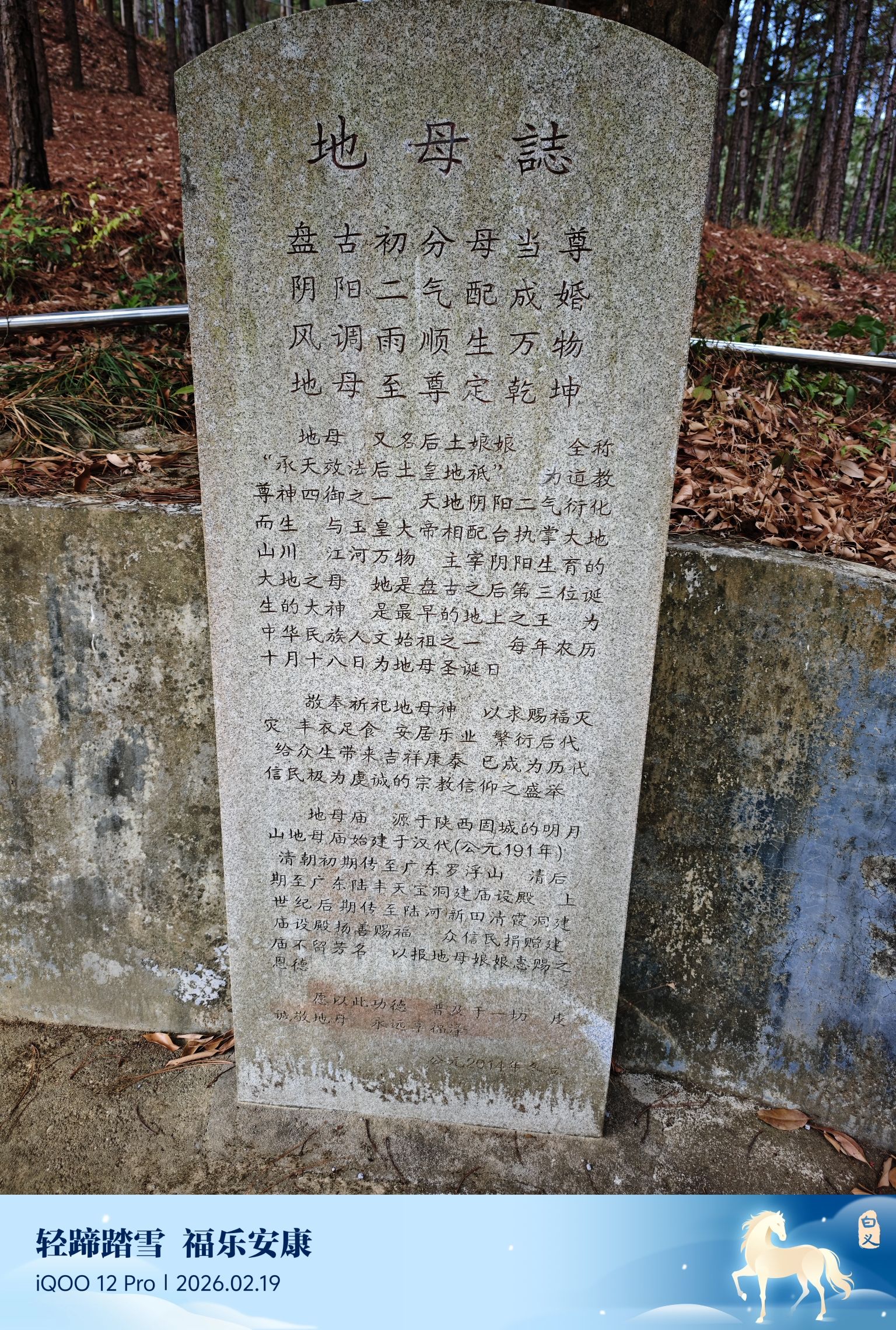 陶仔村地母娘庙实景照片