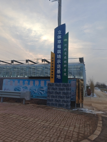 河北省农林科学院果树研究所立体草莓栽培示范基地