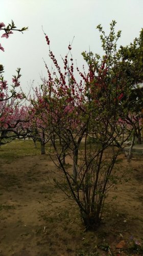 韩信塑像旅行图片 2