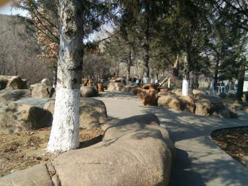 巴尔达公园旅行图片 1