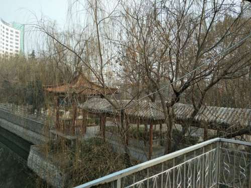 微园旅行图片 2