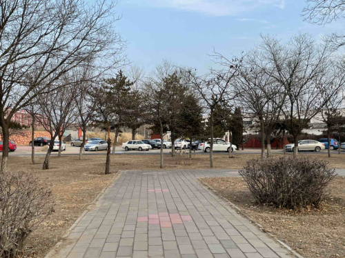 新跃广场旅行图片 3