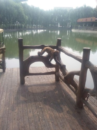柏人公园旅行图片 1
