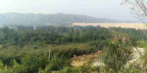 李家山(采摘园、观赏园)旅行图片 3
