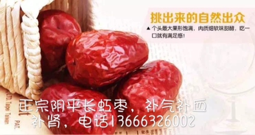 枣园广场旅行图片 2