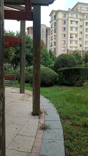 保利·双河城公园旅行图片 2