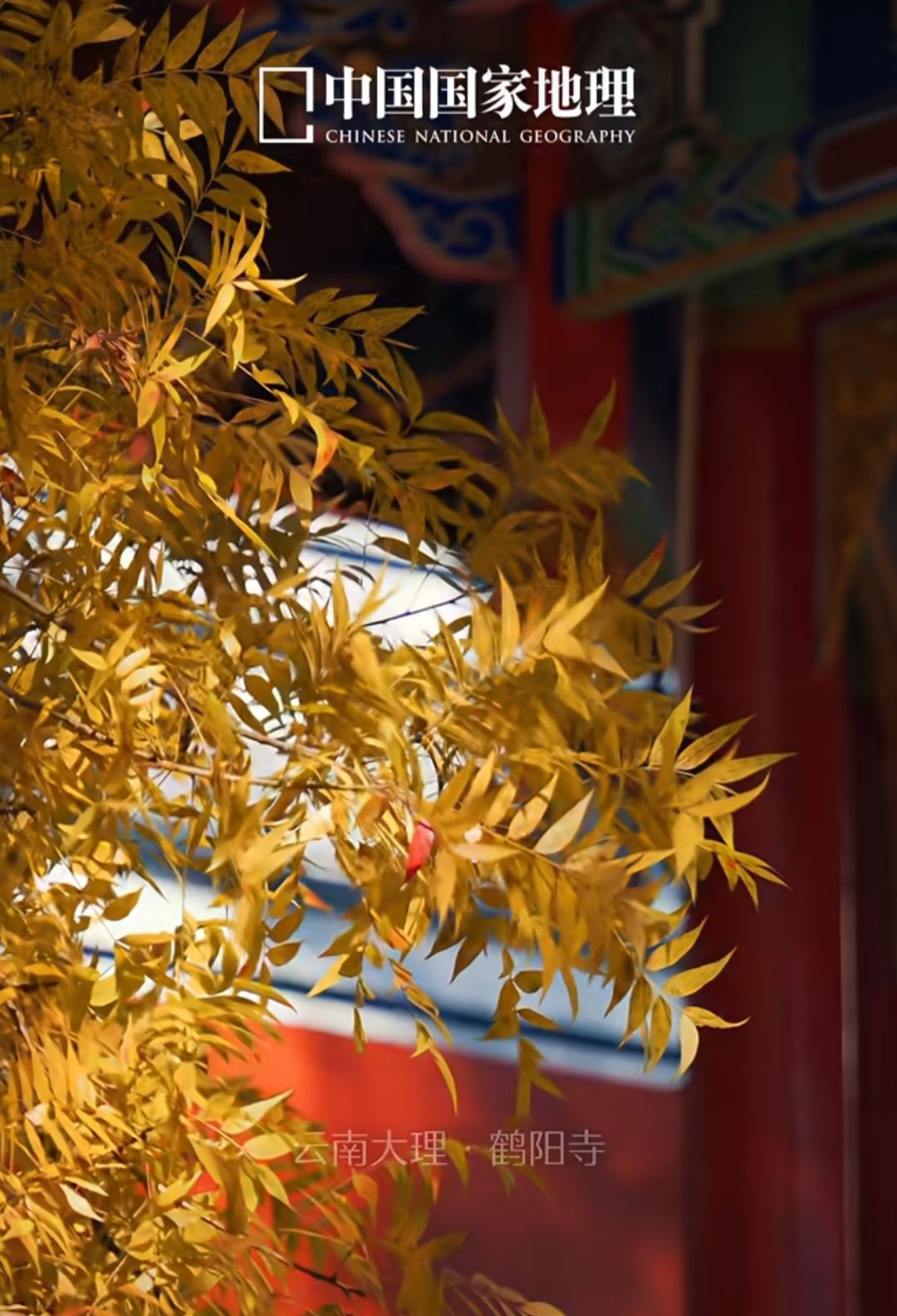 鹤阳寺实景照片