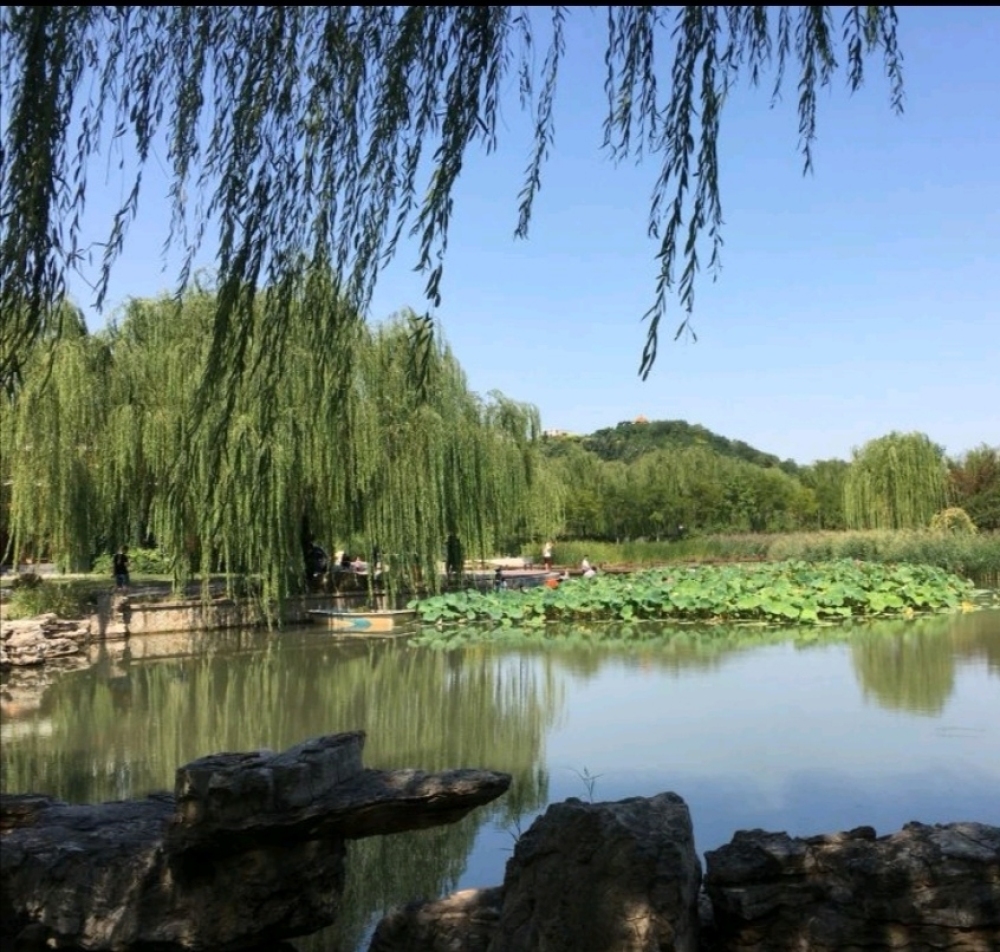 南翠屏公园景点图片