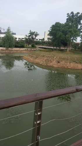 琼花湖公园旅行图片 3