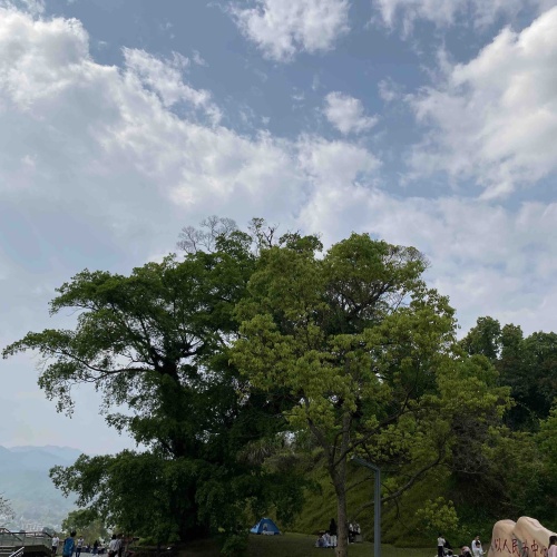 梅岭公园旅行图片 3