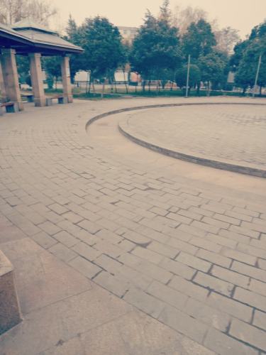 黄河体育公园旅行图片 1