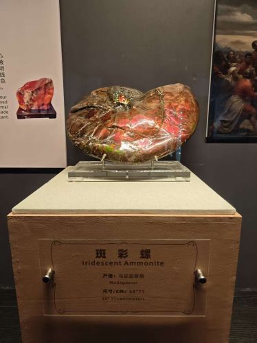 桂林地学博物馆