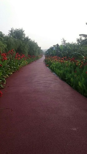 香蕉海生态公园旅行图片 3