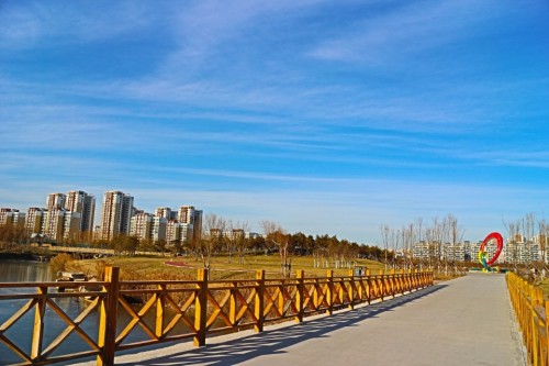 锦华公园旅行图片 2